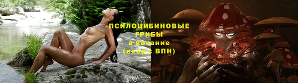эйфоретик Алзамай
