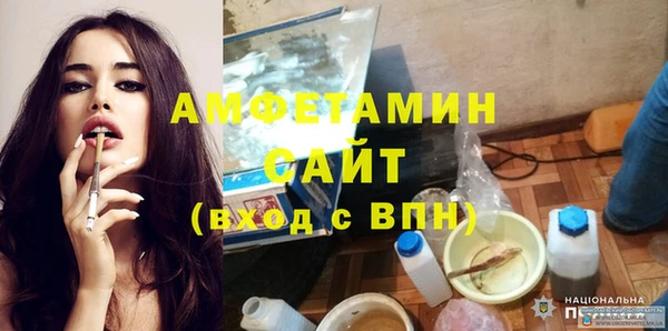 молекула духа Алексин