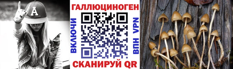 hydra ТОР  Жуков  Галлюциногенные грибы мицелий  дарнет шоп 